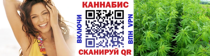 Конопля SATIVA & INDICA  купить  сайты  Орехово-Зуево 
